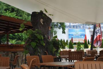 Отель Gradina Болгария, Золотые пески, фото 22