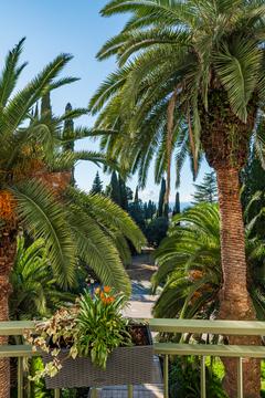 Отель Rodina Grand Hotel & SPA Россия, Сочи, фото 38
