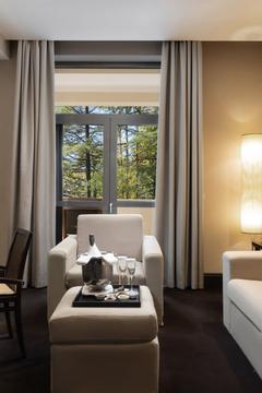 Отель Rodina Grand Hotel & SPA Россия, Сочи, фото 75