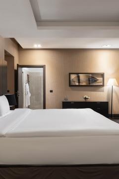 Отель Rodina Grand Hotel & SPA Россия, Сочи, фото 93