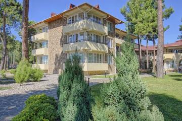 Отель Club Hotels Dolphin Абхазия, Пицунда, фото 6