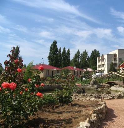 Дельфин пансионат