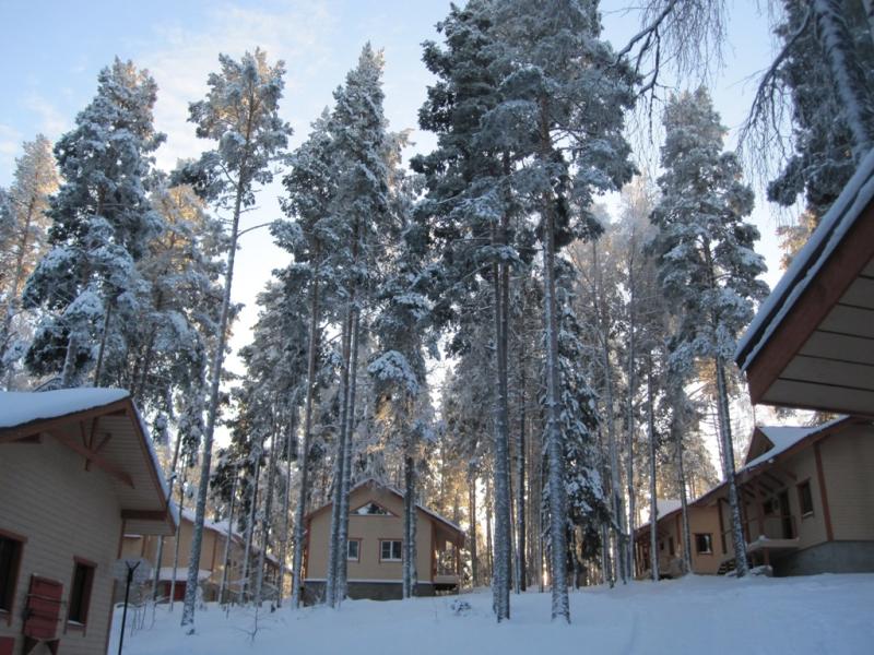 Денисов Мыс