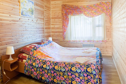 Деревня Александровка