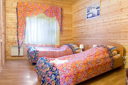 Деревня Александровка