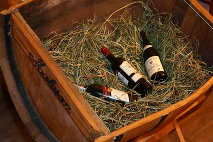 Деревня Александровка