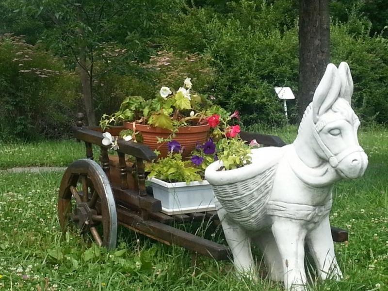 Джинал санаторий