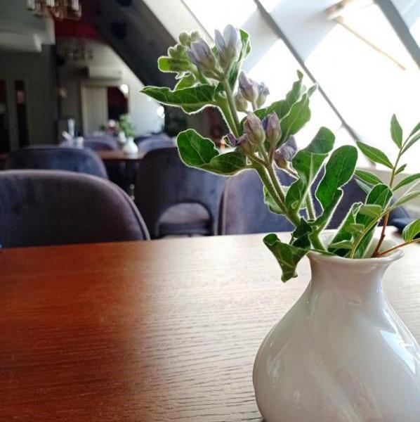 Достоевский