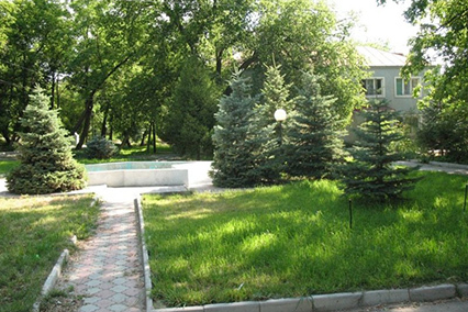 Дубовка