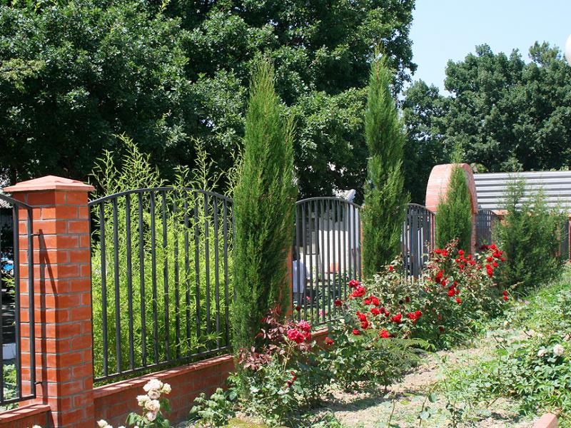 Дубравушка