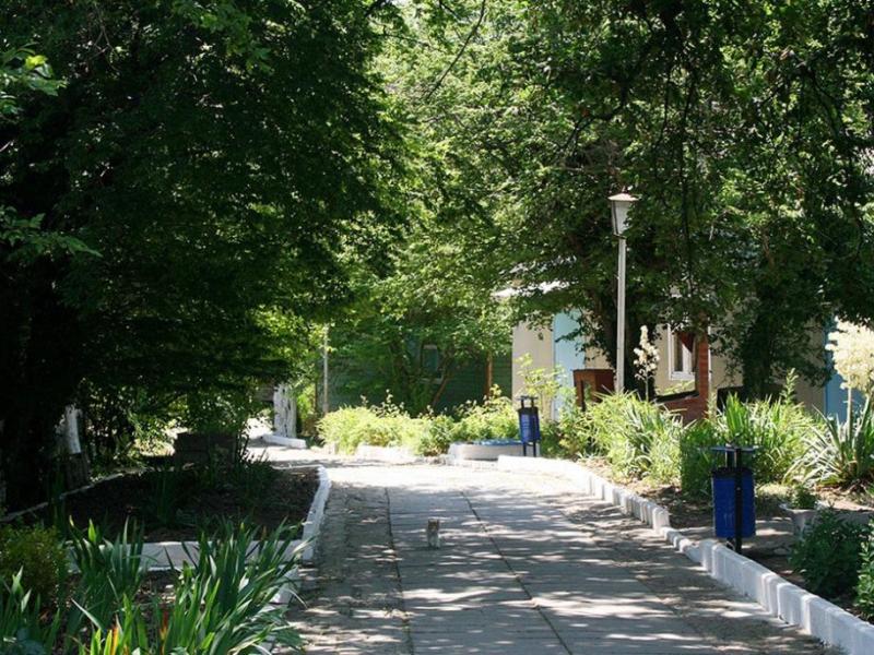 Дубравушка