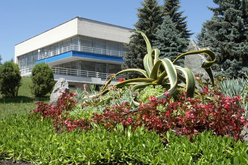 Жемчужина Кавказа