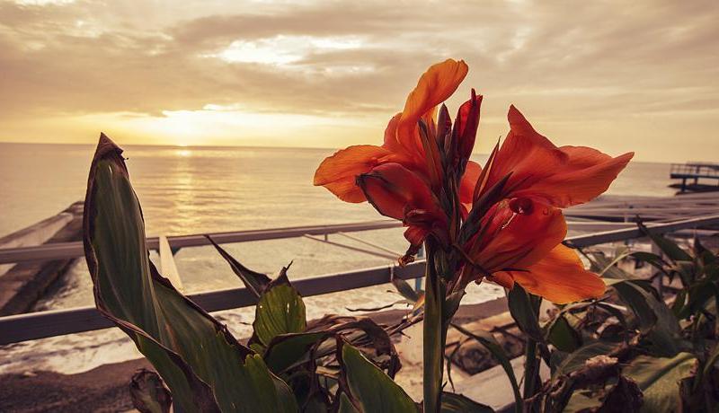 Отделение Спутник (Гурзуф центр)