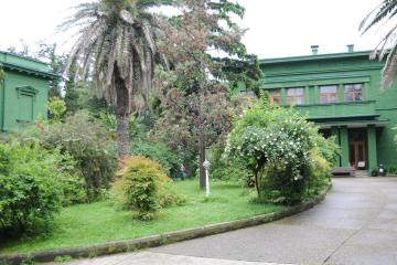 Отель Санаторий Зеленая роща Россия, Сочи, фото 9