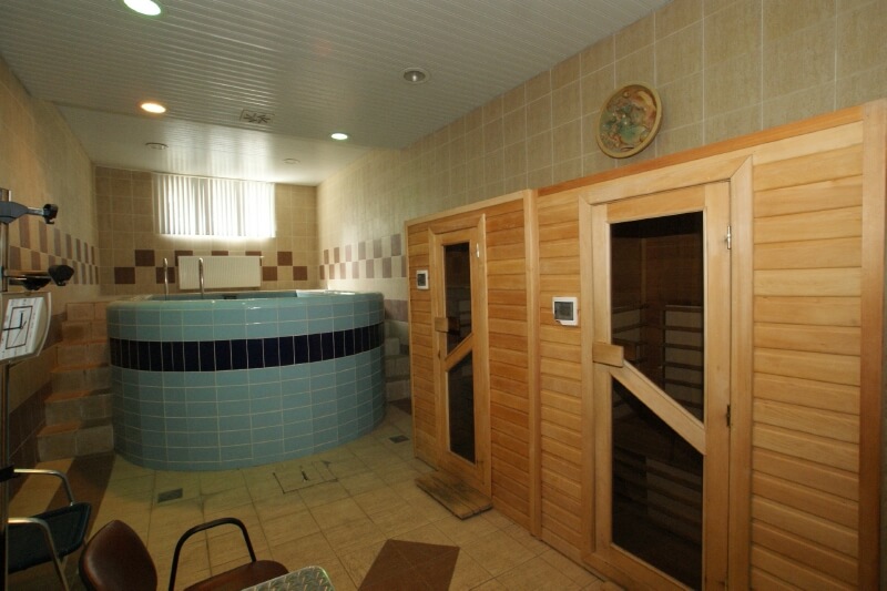 Санаторий Зеленый Гай (Дедеркой)