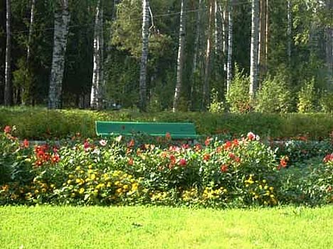 Зеленый городок (Иваново)