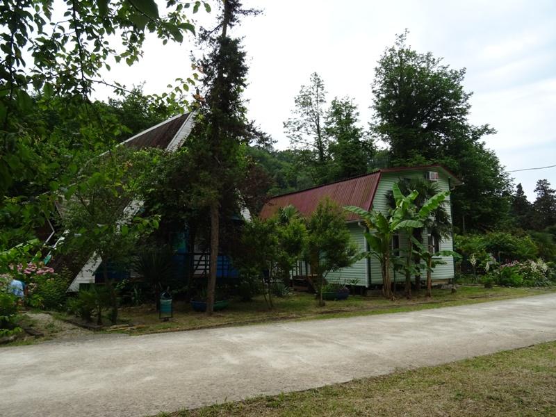 Золотая бухта