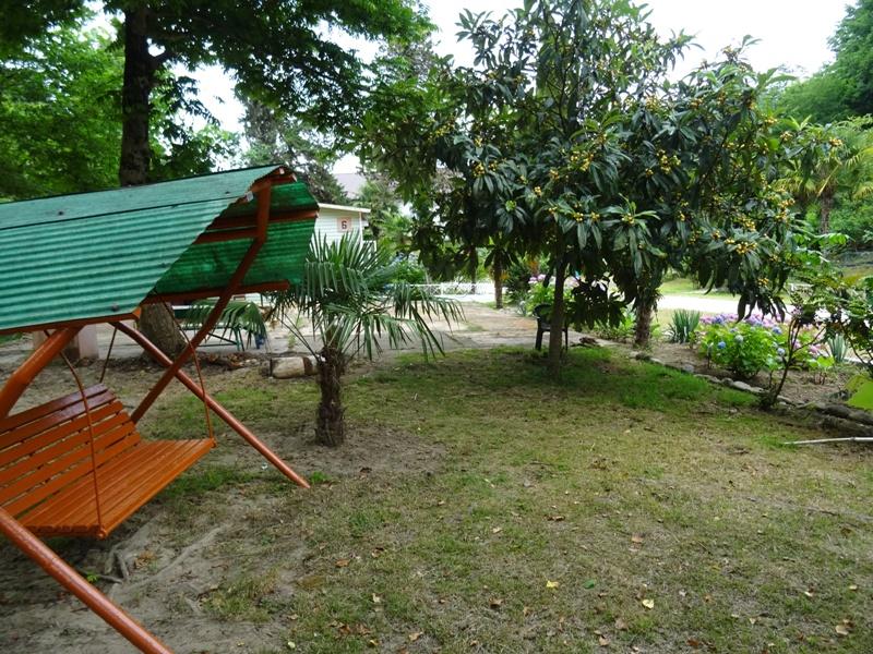 Золотая бухта