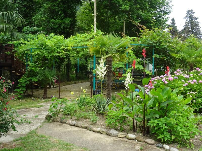 Золотая бухта