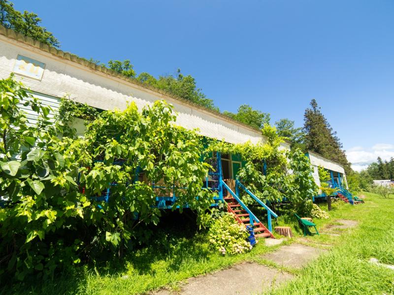 Золотая бухта