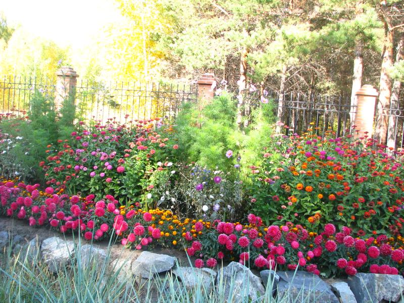 Санаторий-профилакторий Золотой Берег