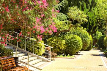 Отель Golden Family Resort Россия, Алушта, фото 2