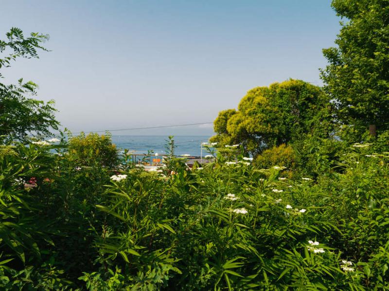 Гостиница Золотой Мыс