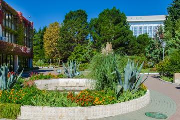 Отель Пансионат Изумруд Россия, Адлер, фото 35