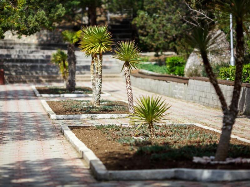 Пансионат Изумруд (Ласпи)