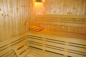 Ikonomov Spa