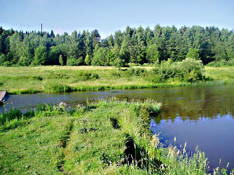 им. Ивана Сусанина