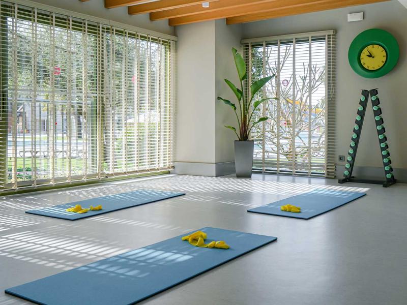 Arum Barut Collection