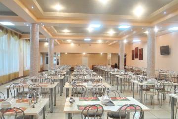 Отель Санаторий имени В.И. Ленина Беларусь, Бобруйск, фото 6