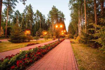 Отель Империал Парк Отель & SPA Россия, Москва, фото 37