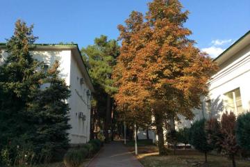 Отель Кавказ пансионат Россия, Геленджик, фото 14