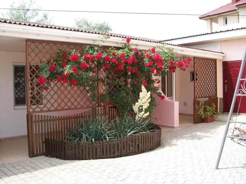 Вилла Каламит