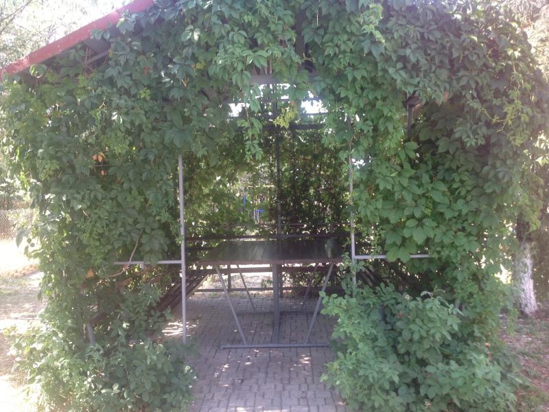 Вилла Каламит