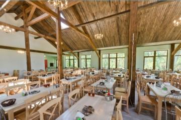 Отель Камелия-Кафа Россия, Коктебель, фото 22