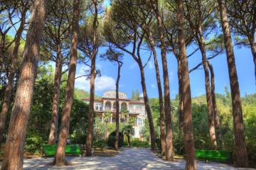 Отель Вилла Карасан Россия, Алушта, фото 11