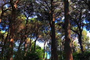 Отель Вилла Карасан Россия, Алушта, фото 38