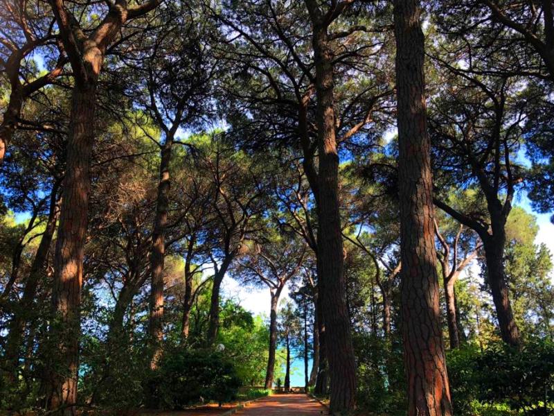 Вилла Карасан