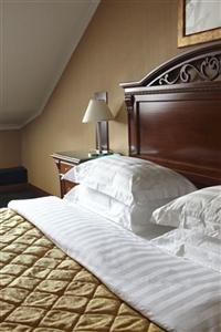 Амбассадори