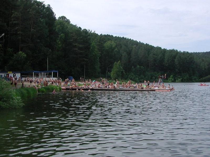 Кедровый бор