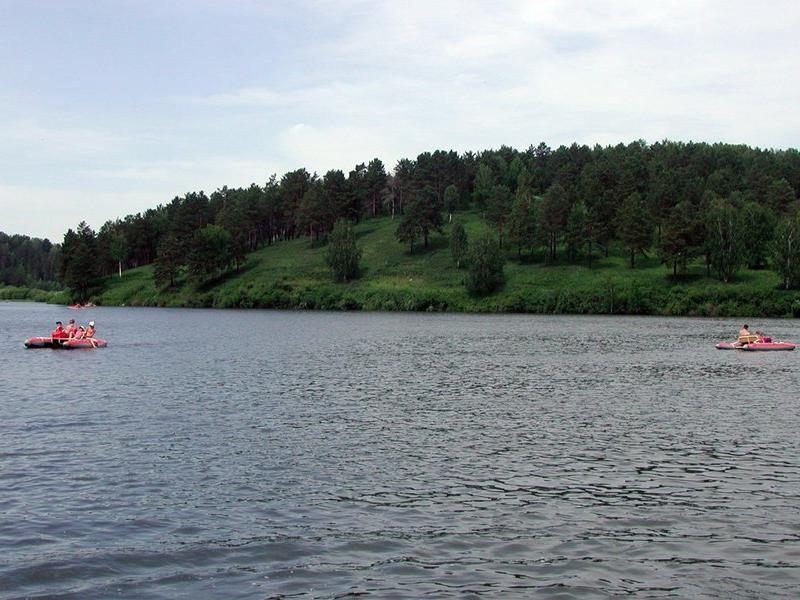 Кедровый бор