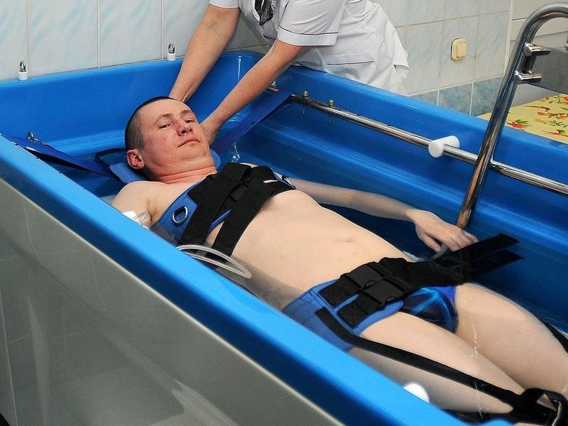 Кедровый бор
