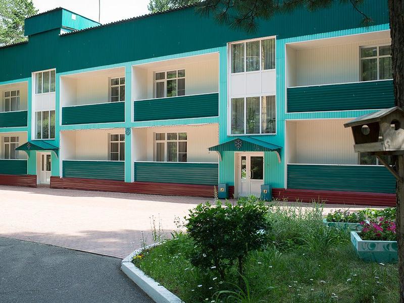 Кедровый бор