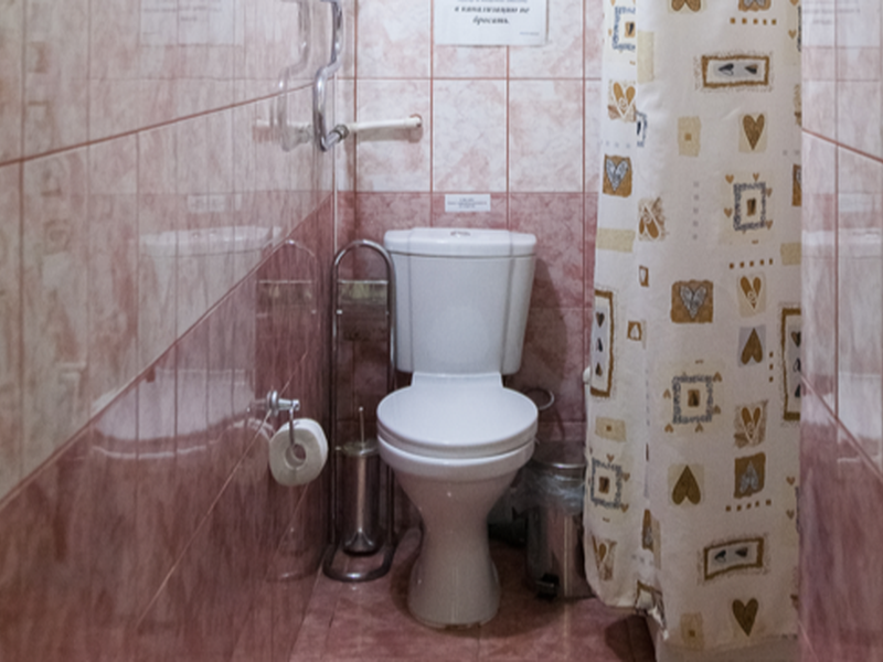 Кедровый бор