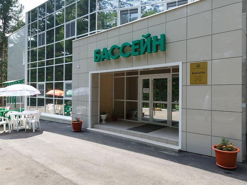 Кедровый бор