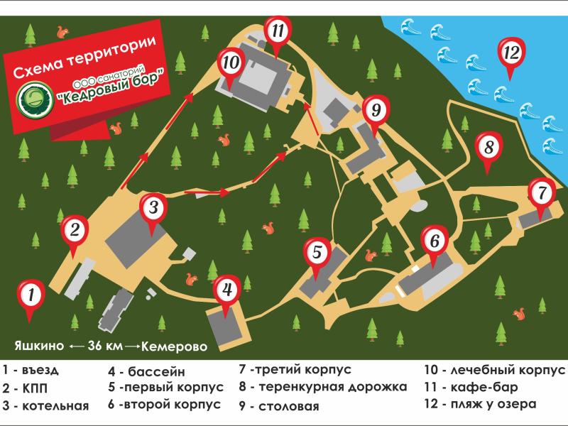 Кедровый бор