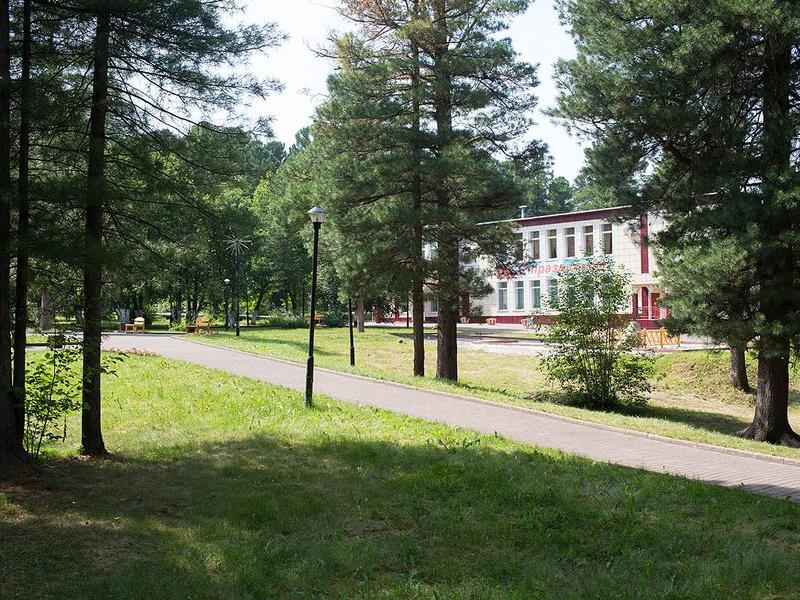 Кедровый бор